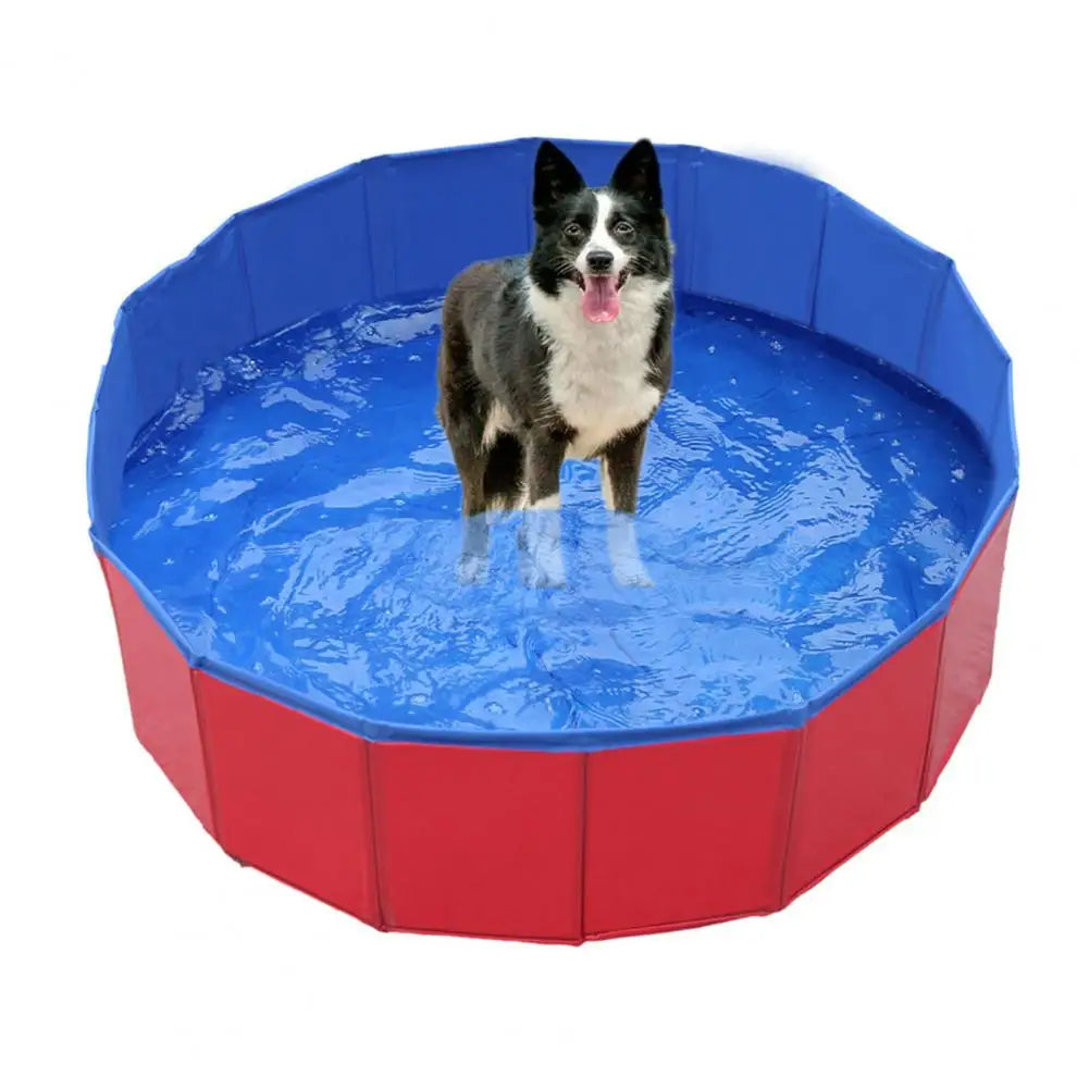 Piscina Plegable para Perros