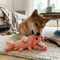 Floppy Lobster Dog Toy lifestyle