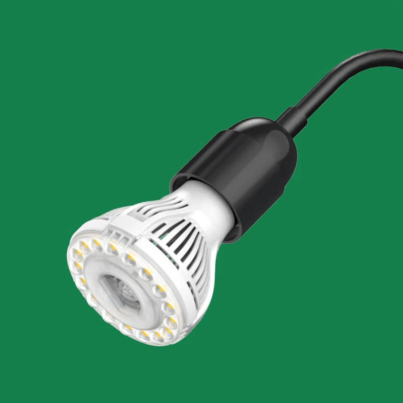 Lámpara de cultivo LED de cuello de cisne de espectro completo para plantas de interior con invernadero