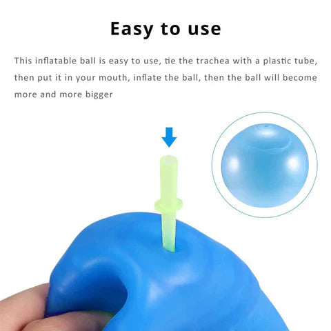 Giant Inflatable Bubble Ball