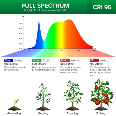 Lámpara de cultivo LED de cuello de cisne de espectro completo para plantas de interior con invernadero